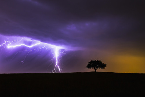 India: Patru persoane au murit, iar alte patru s-au ales cu răni după ce au fost lovite de fulgere