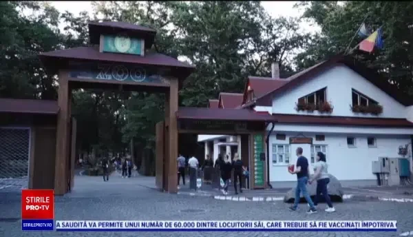 Noaptea Muzeelor. Grădina Zoologică din Târgu Mureș a primit vizitatori până la miezul nopții