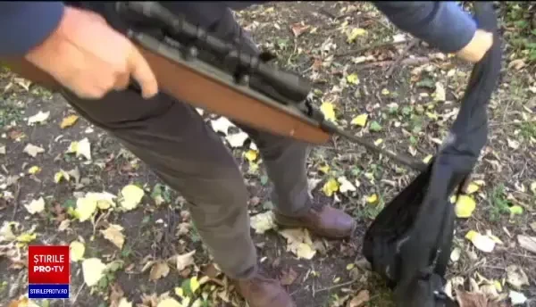 Zeci de specii de păsări sunt ameninţate cu dispariţia. O nouă lege ar permite vânarea lor în număr mare