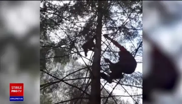 Prea mulți pui de urs rămân orfani din cauza braconajului ori accidentelor. Unde funcționează singurul orfelinat din Europa