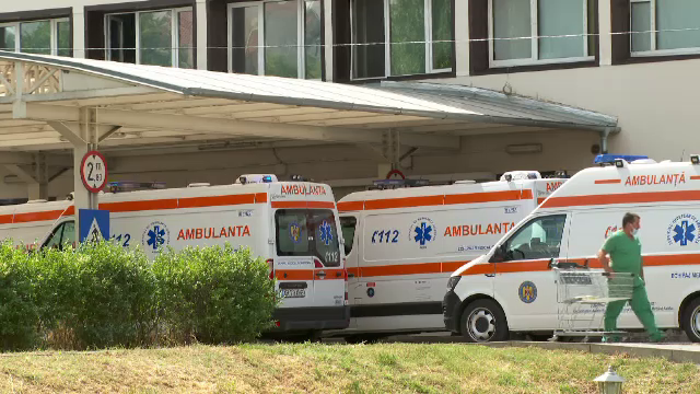 Bărbat din Arad, în stare gravă după ce a fost mușcat de viperă. O fundație ar fi adus mai multe reptile în zonă