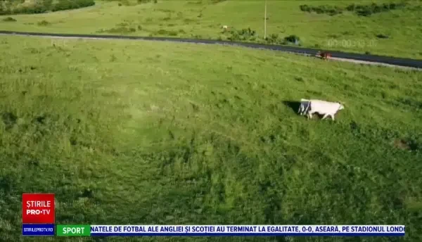 Trans-Salina, o nouă șosea în România. Drumul va salva două sate aproape complet depopulate: ”Acum e domnie”