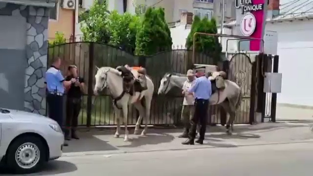 Întâmplare inedită în Craiova. Doi turiști străini s-au rătăcit după ce plecaseră spre Castelul Bran