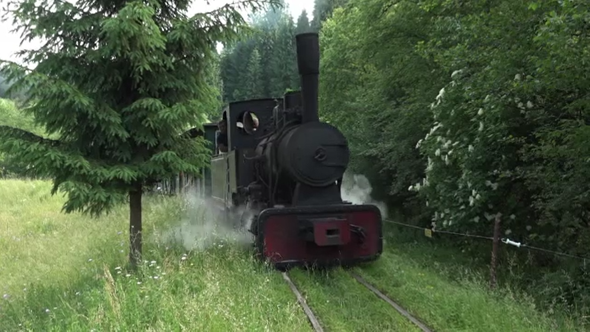 Festivalul „Povestea Vinului”: Fondurile strânse vor fi folosite la restaurarea traseului mocăniței Transilvaniei