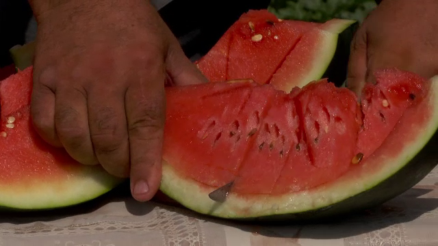 Au apărut renumiții pepeni de Dăbuleni. Prețul va fi mai mic anul acesta