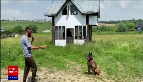 Un câine a fost torturat și abandonat într-un sat din Botoșani. Poliția caută făptașul