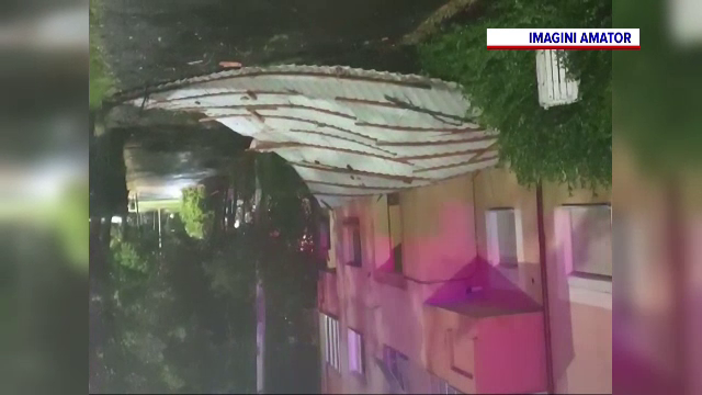 Furtuni violente în vestul țării. Vântul a smuls copaci din rădăcini și a spulberat acoperișuri