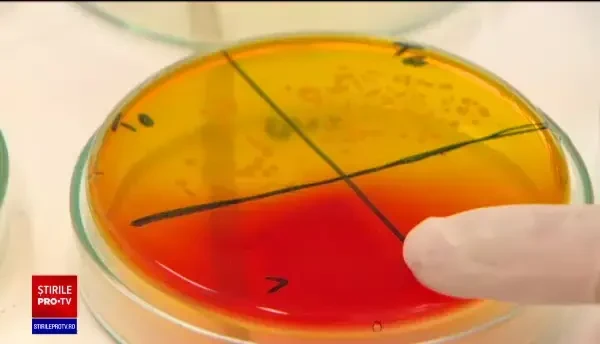 Cât de periculoase sunt bacteriile de pe telefoanele mobile. Descoperire alarmantă a specialiștilor