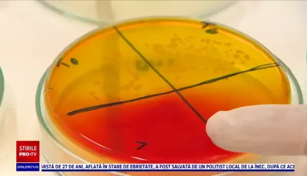 Cât de periculoase sunt bacteriile de pe telefoanele mobile. Descoperire alarmantă a specialiștilor