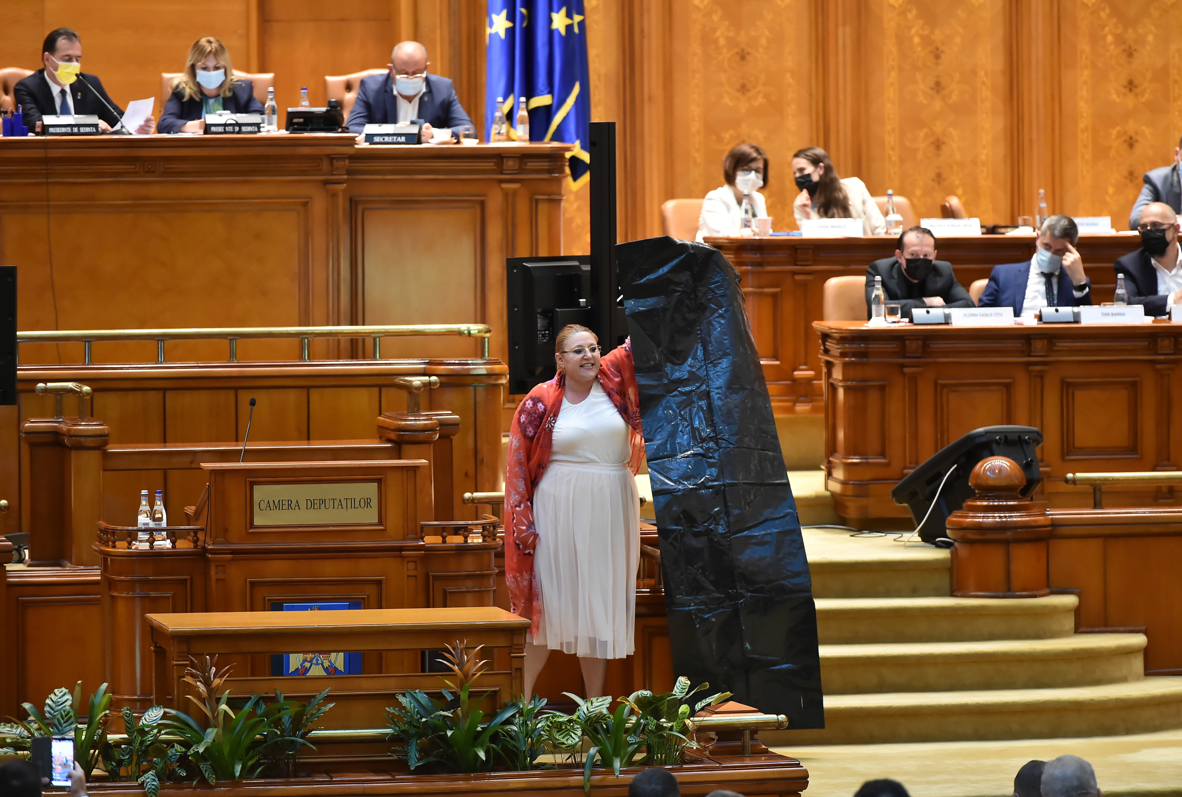 YouTube a închis contul oficial al Senatului României din cauza declarațiilor Dianei Șoșoacă. Ce a spus senatoarea VIDEO