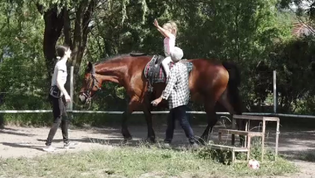 Cum funcționează terapia cu cai în cazul copiilor cu dizabilităţi