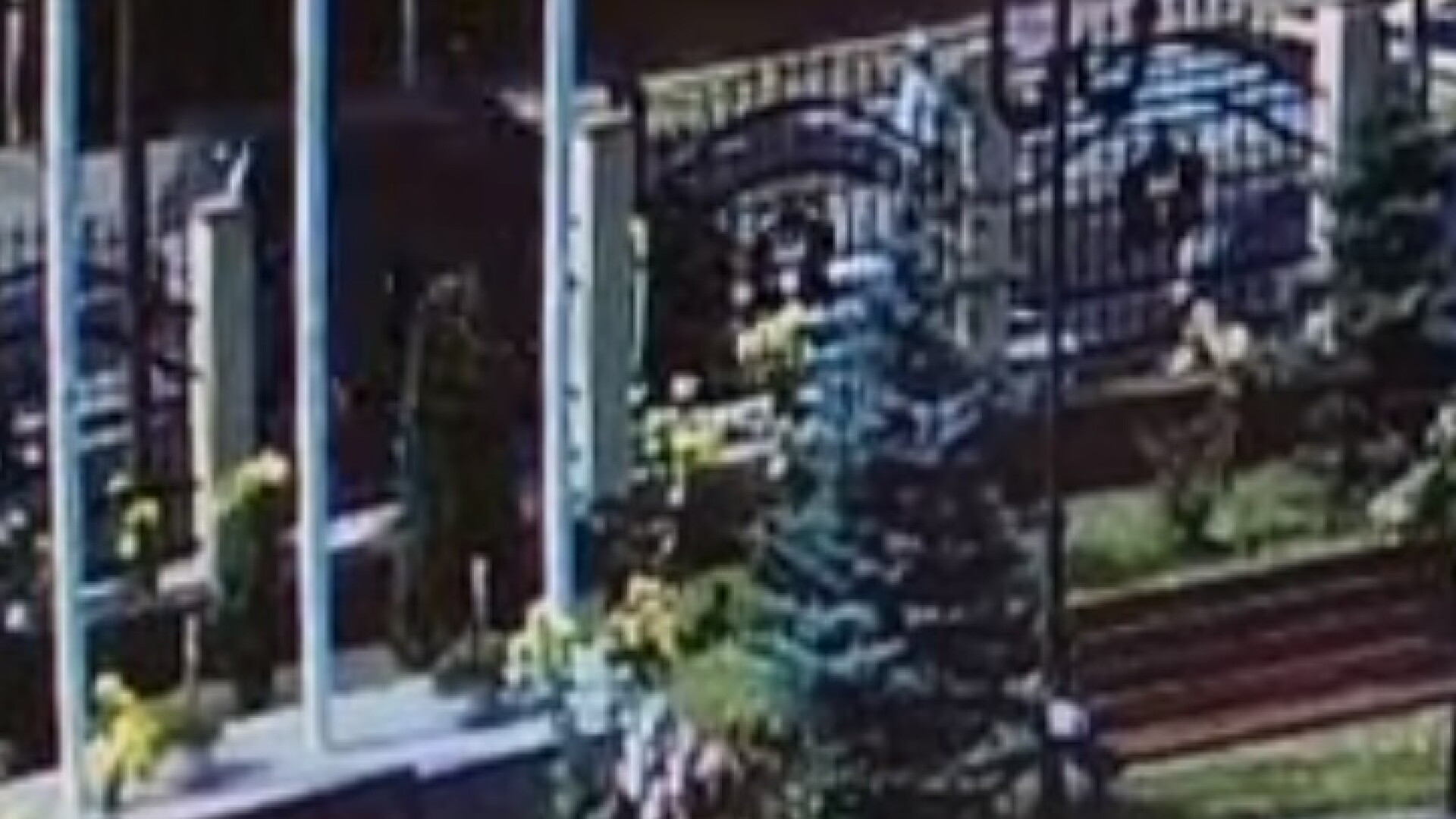 VIDEO. Bărbat accidentat mortal pe trecerea de pietoni. Momentul a fost filmat