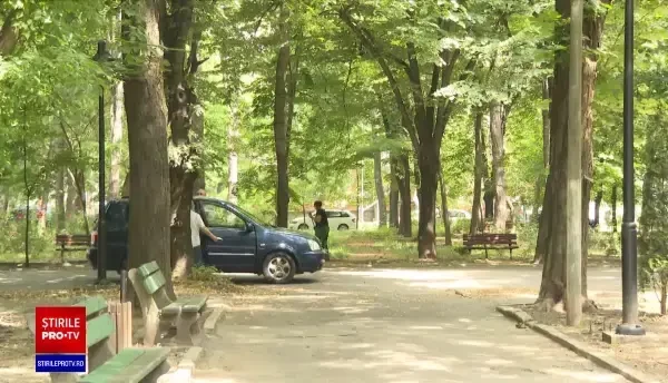 Imagini șocante în stațiunea Lacu Sărat. Mai mult câini au fost găsiți morți în parcul care împrejmuiește zona de promenadă