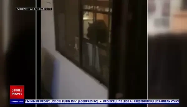 Un urs și-a făcut de cap în bucătăria unei familii: A mancat cereale și a băut lapte cu cacao