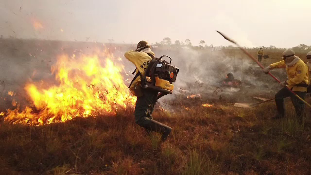 Incendiile de vegetație din California se extind rapid spre zonele locuite