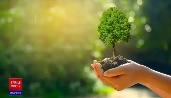 România încă nu a reușit să interzică producerea de tacâmuri din plastic. În fiecare lună, ingerăm câte 5 grame de plastic