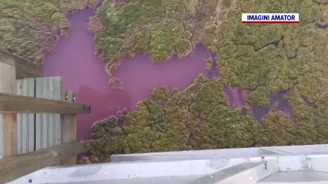 Lacul Techirghiol, în pericol. Este acoperit de o pătură vegetală, urât mirositoare. Cum au reacționat turiștii