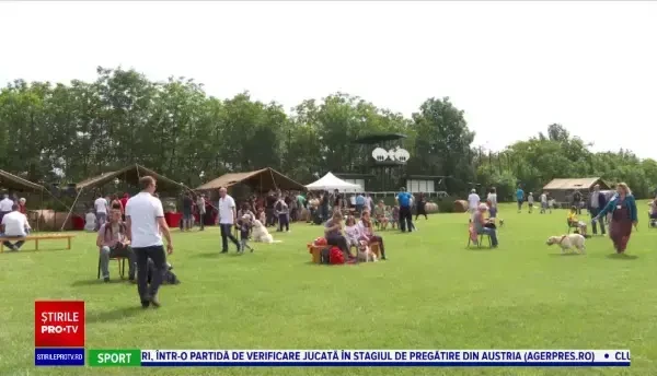 Concursul de frumusețe canină Animal Fest s-a desfășurat la Iași, timp de două zile
