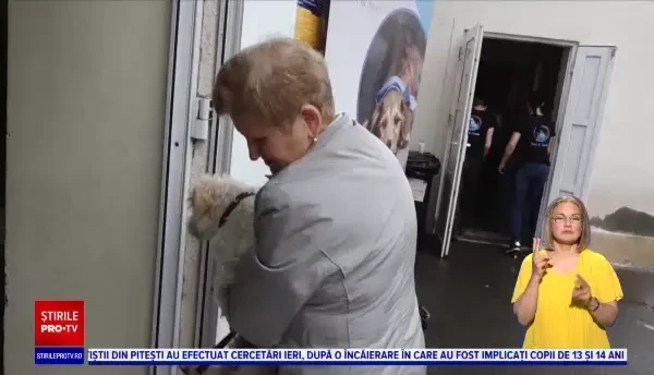 Peste 150 de câini şi pisici, sterilizate gratuit, într-un sat din Mureș, de voluntarii unei asociații