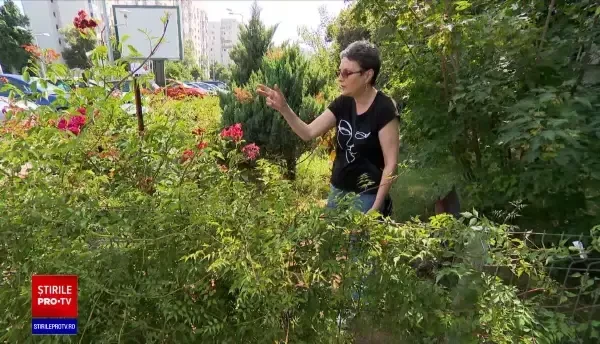 Locuitorii Sectorului 6 din București amenajează micile terenuri din jurul blocului din banii lor