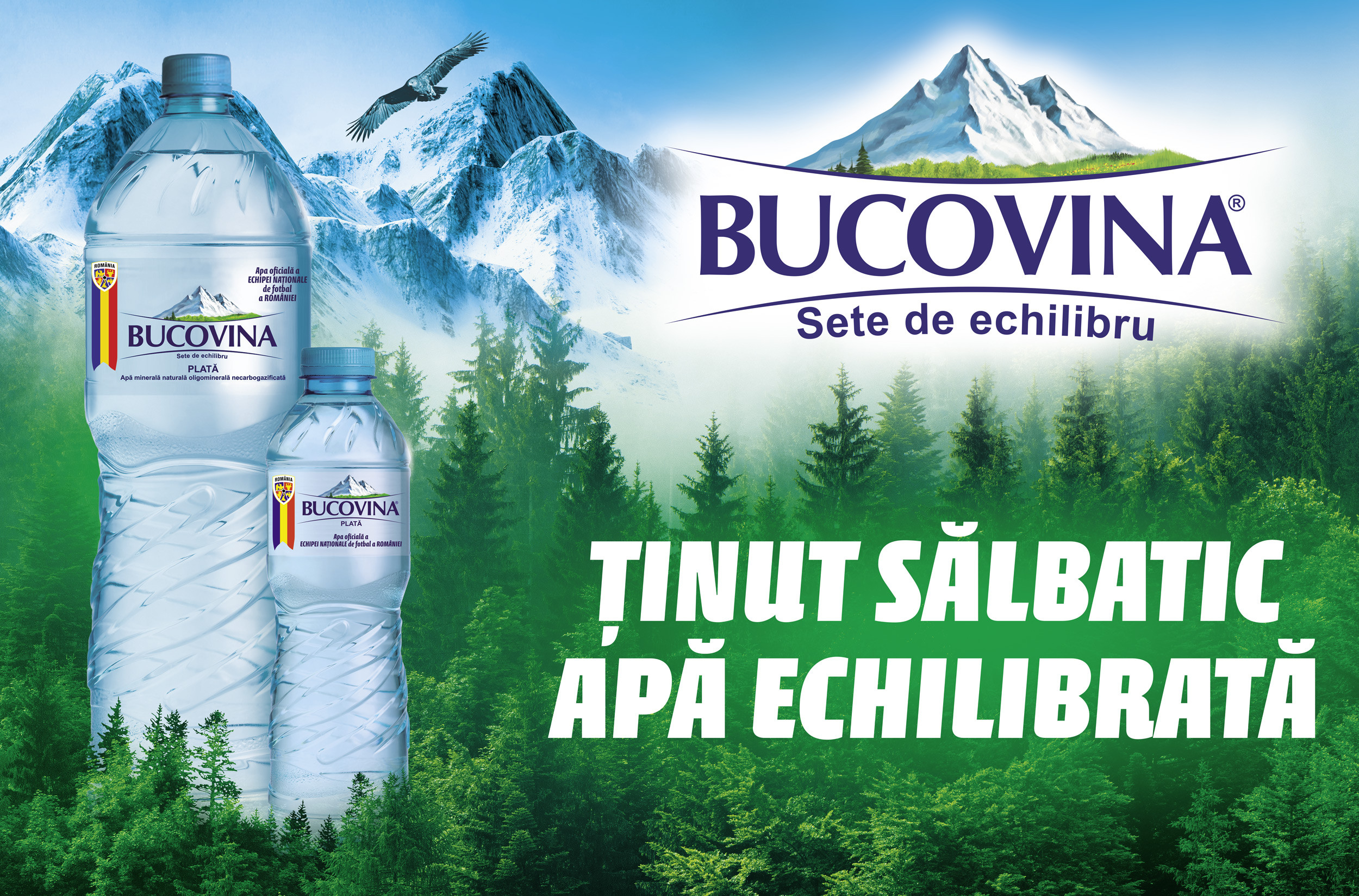 (P) Apa Bucovina, alături de trei mari federații sportive participante la Jocurile Olimpice