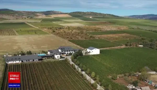 Excursii inedite la cramele din Dealul Mare. Vei fi întâmpinat de un somelier și poți încerca cazinoul de vinuri