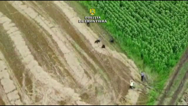 Migranți sirieni prinși la Constanța cu ajutorul dronei. Ce se întâmplă cu ei