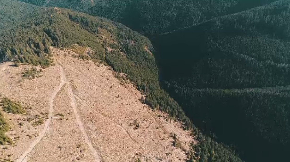 Un deputat PSD vrea modificarea legii pentru a se putea construi în aproape orice zonă montană cu o condiție