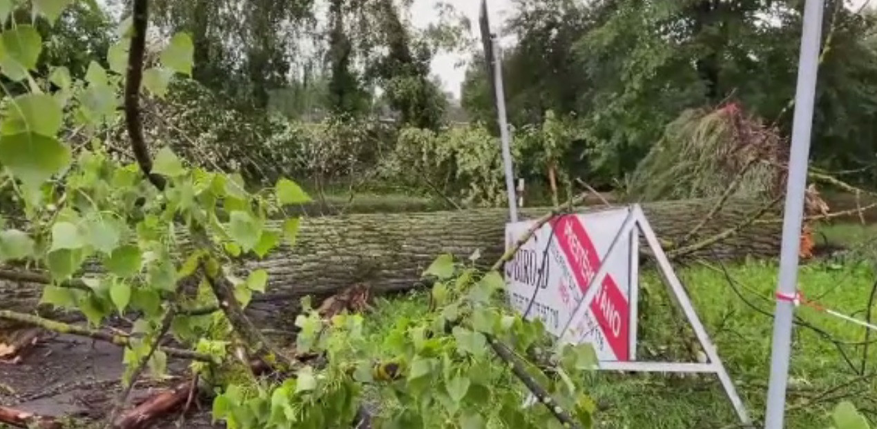 Europa, lovită de furtuni foarte puternice. Elsa a ajuns la New York