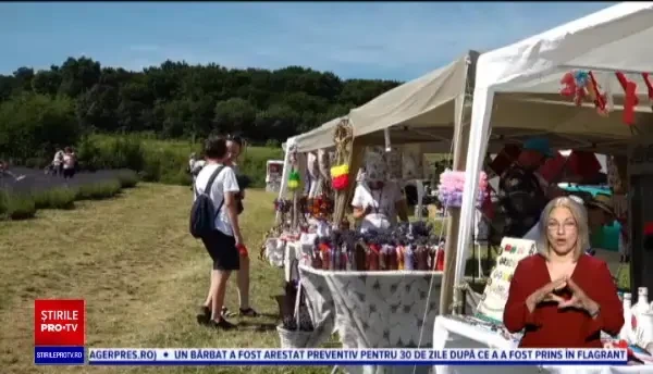 Colțul din România ce seamănă cu Provence. Turiștii au luat cu asalt un deal plin cu lavandă