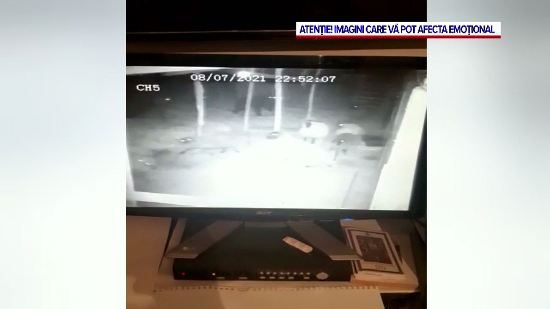 Video. Un urs a fost filmat în timp ce atacă o stână din Argeș