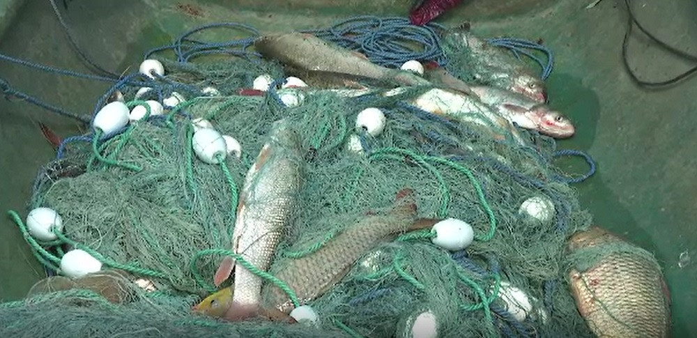 Veste teribilă pentru braconieri. Pescuitul ilegal s-ar putea pedepsi cu până la 8 ani de închisoare