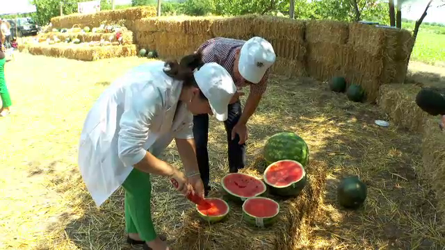 Pepenele de Dăbuleni ar putea deveni produs cu indicaţie geografică