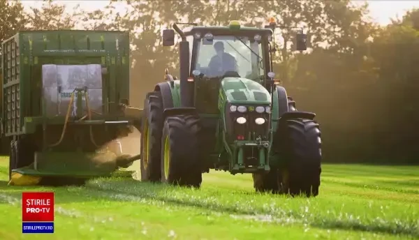 Iarba de pe marginea drumului poate fi cheia unor afaceri de succes. Ce se poate face cu ea