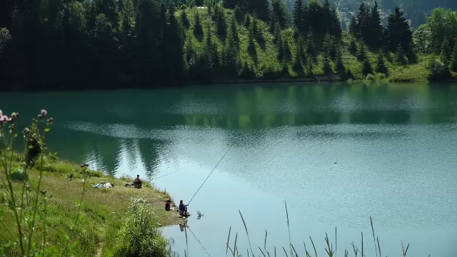 Descoperire macabră în apele lacului Colibița. Trupul unui bărbat de 63 de ani, găsit la 10 m de mal