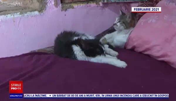 Concurenții de la emisiunea "Ce spun românii" au donat pentru a o ajuta pe Gabriela