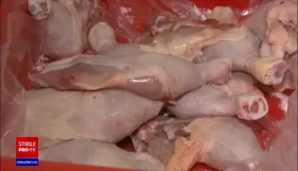 Zeci de tone de carne de pui cu salmonella ajung în România din Polonia. Cum ne ferim de intoxicație