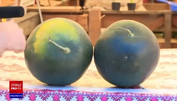 E sezonul pepenilor, iar piețele s-au umplut de grămezi din toate soiurile. Cum recunoaștem dacă sunt copți