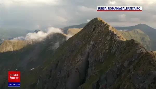 „România sălbatică”, cel mai amplu documentar realizat în țara noastră. Când va fi lansat