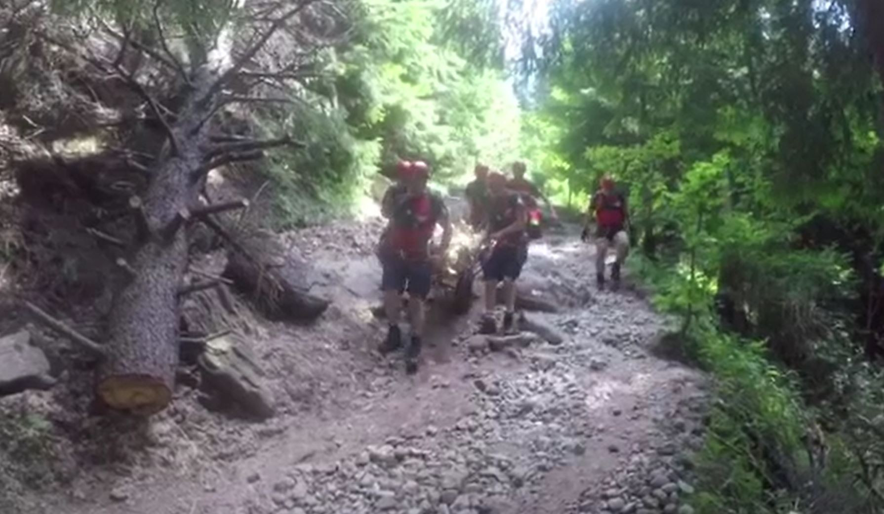 Tragedie pe munte. O femeie din Galați a murit în timp ce era în drumeție