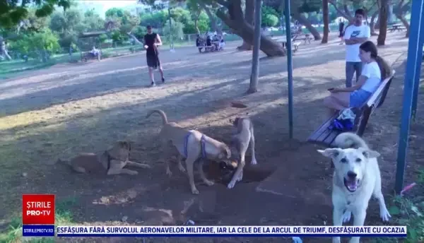 Metoda folosită de Primăria din Tel Aviv pentru a-i prinde pe proprietarii de câini care nu strâng excrementele animalelor