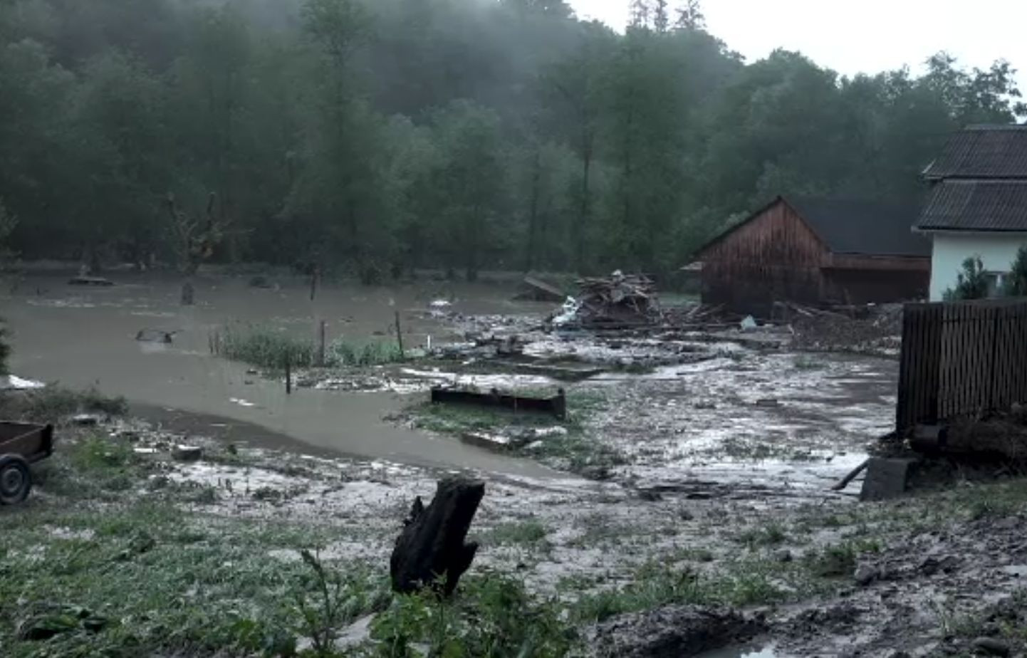 Viiturile năvalnice au mutat un deal, cu tot cu brazi. Este dezastru în țară