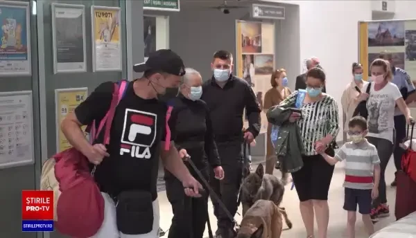 Câini care depistează Covid-19, pentru prima dată în România, la aeroportul din Sibiu