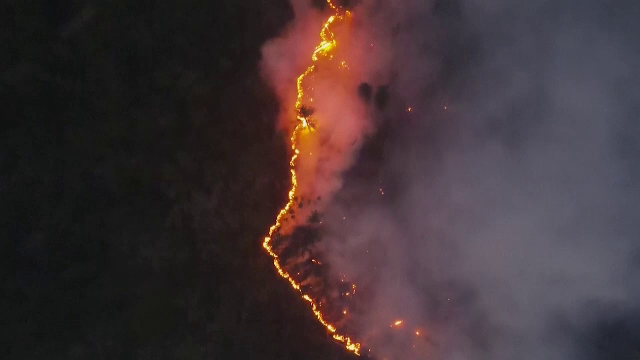 Cea mai secetoasă vară din ultimii 150 de ani în Siberia. Incendiile de vegetație devastează regiunea