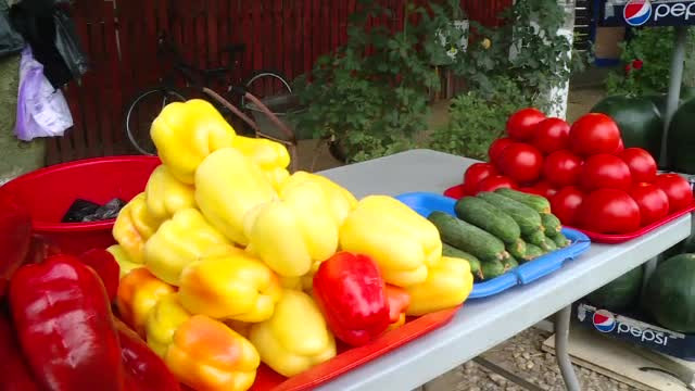 Coșmarul fermierilor români. An bun pentru legume, dar nu au cui să le vândă: O să renunț, o să le distrug