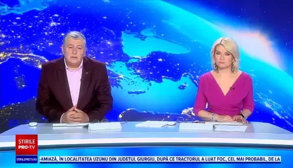 Inundațiile din Belgia au lăsat pe drumuri multe animale de companie. Ce opțiuni au stăpânii