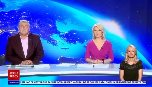 Doi pui de urs, eliberați de jandarmi dintr-un tomberon, în Poiana Brașov |VIDEO