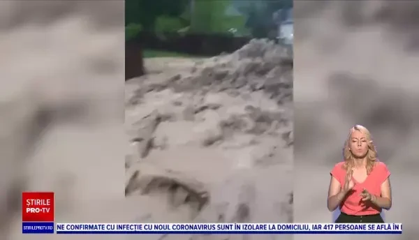 Ploile și furtunile au făcut prăpăd în țară. Zeci de gospodării au fost inundate, iar copacii au căzut pe locuințe