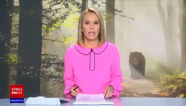 Guvernul Cîțu a adoptat în ședință OUG care dă liber la împușcarea urșilor agresivi