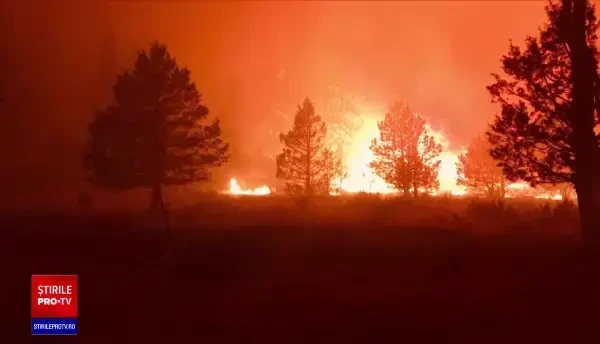 Incendii majore în SUA. Flăcările distrug în fiecare oră sute de hectare de pădure